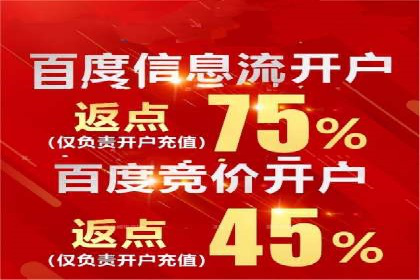 百度竞价广告在电商行业的实战应用案例
