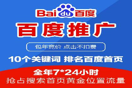 百度竞价排名案例分享：广告投放的技巧与误区